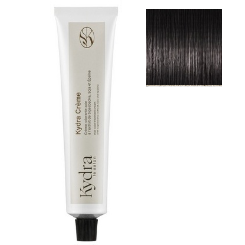 Kydra Hair Color Treatment Cream  - Краска для волос 2/10 - интенсивный пепельный темно-коричневый